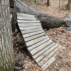 DTE Energy Foundation Trail - Green Lake Loop