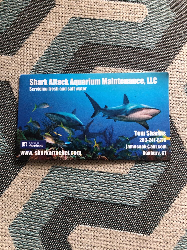 SHARK ATTACK AQUARIUM MAINTENANCE Danbury, Connecticut Aquarium