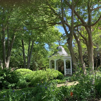 Carlyle House Historic Park by null