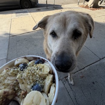 Backyard Bowls - Ben accessing the Power Bowl - Breakfast & Brunch Near Me - Los Angeles, California