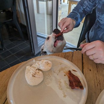 Goodroots - enjoying his side of bacon and poached eggs - Cafes Near Me - Worcester, WOR