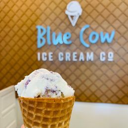 House Made Waffle Cone House Made Waffle Cone