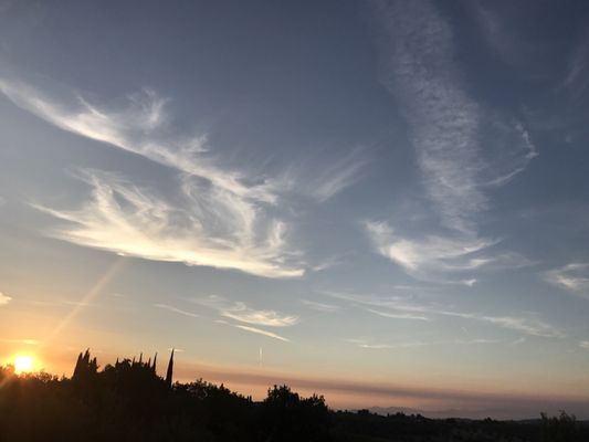 Fattoria la Loggia by null