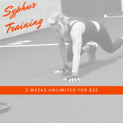Syphus Training - 2 weeks unlimited training for $32