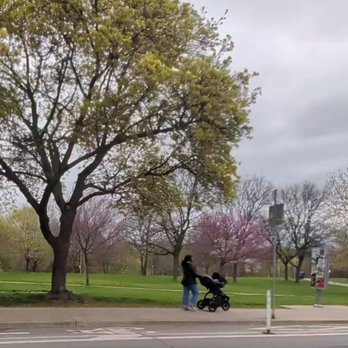 Christie Pits Park - The park - Parks Near Me - Toronto, Ontario