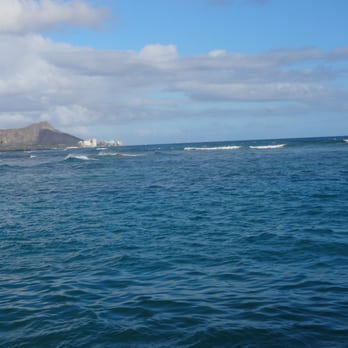 Sashimi Fun Fishing - Fishing Near Me - Honolulu, Hawaii