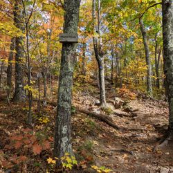 Pleasant Mountain Trail