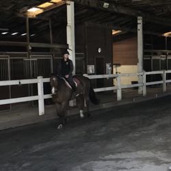 Five Oak Farms - Indoor arena and barn.