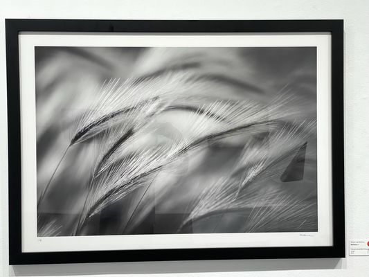 Riveting Frame & Design