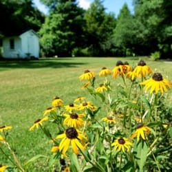 Maison Madeleine At Lake Martin - Garden