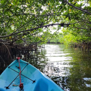 John Pennekamp Coral Reef State Park - Kayaking - Parks Near Me - Key Largo, Florida John Pennekamp Coral Reef State Park - Kayaking - Parks Near Me - Key Largo, Florida