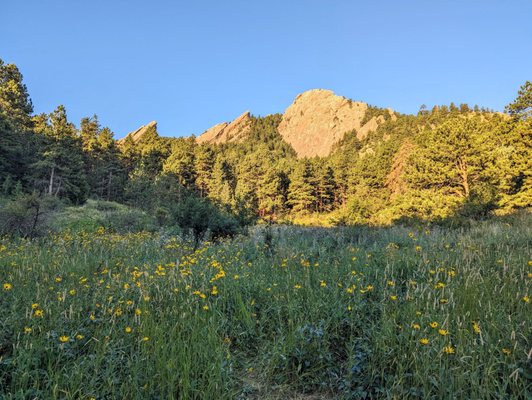 Flatirons by null