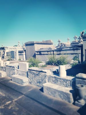 St Vincent De Paul Cemetery by null