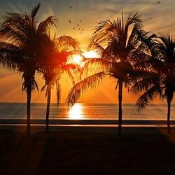Kelly's Travel Agency - "You have a Friend in Travel" Ask me for a Free Quote!
