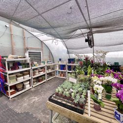 Pots, planters, succulents, mini orchids, etc.
