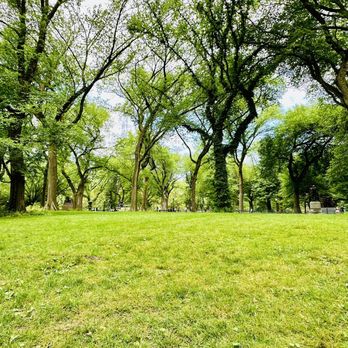 Central Park Conservancy - Parks Near Me - New York, New York