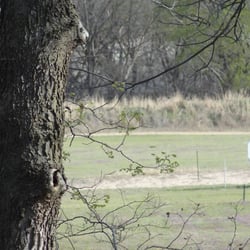 Wichita Archery - Wichita Archery