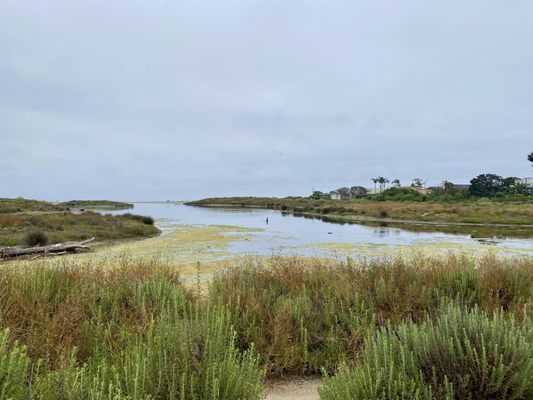 Malibu Lagoon State Beach by null
