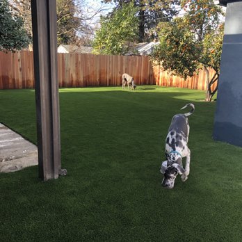 Artificial Turf By Fenix - Artificial Turf Near Me - Rocklin, California