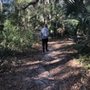 Flat Island Preserve