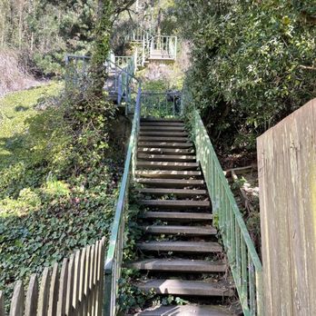 Mount Sutro - Stairs - Parks Near Me - San Francisco, California