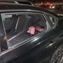 Photo of Evolution Auto Glass