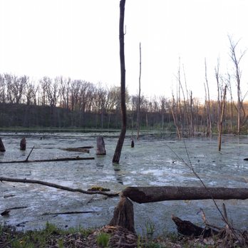 Chain O' Lakes - Beavers! - Parks Near Me - Albion, Indiana