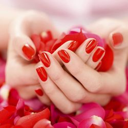 European Beauty Lounge - Manicure