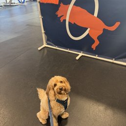 Maple's first class! Maple's first class!