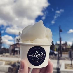 Elly's Ice Cream - Lemon sorbet