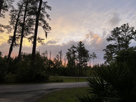 Stephen C Foster State Park by null