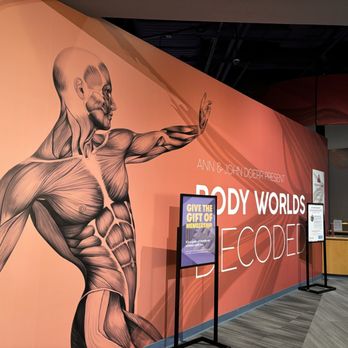 The Tech Interactive - Body world - Museums Near Me - San Jose, California The Tech Interactive - Body world - Museums Near Me - San Jose, California