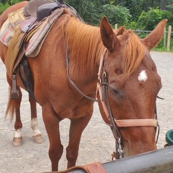 Mountain Creek Riding Stables - Horseback Riding Near Me - Cresco, Pennsylvania