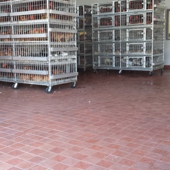 Saba Live Poultry - Butcher Near Me - Oakland, California Saba Live Poultry - Butcher Near Me - Oakland, California