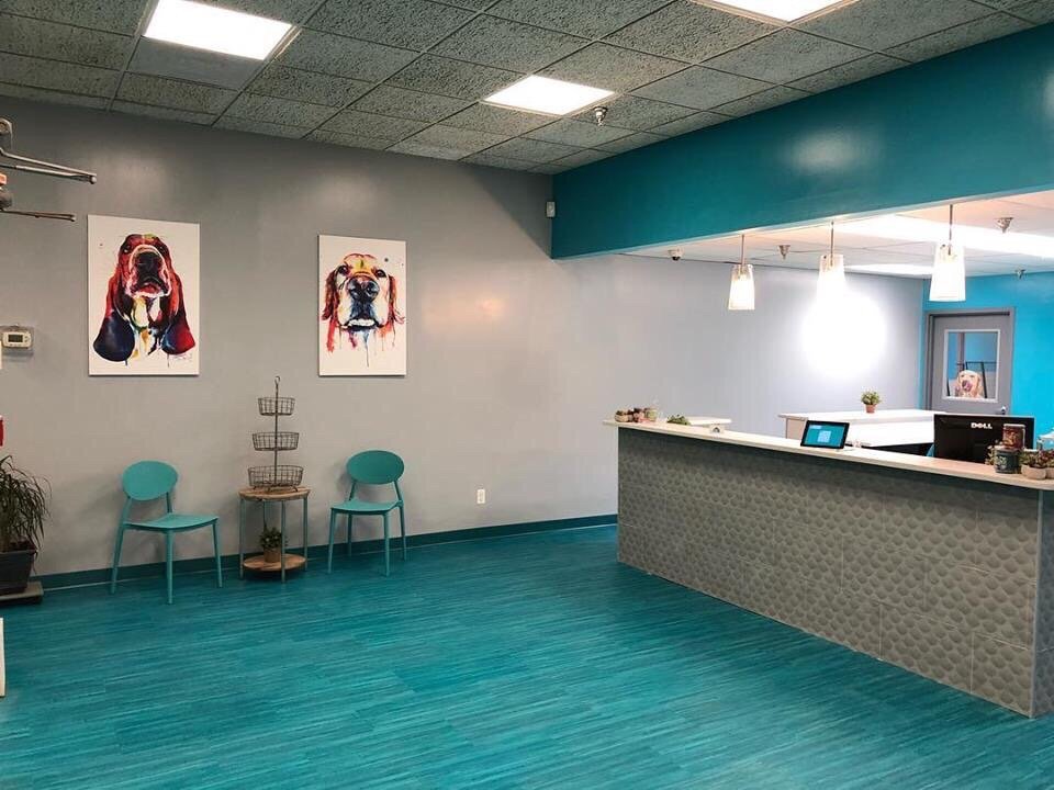 SNIFFERS DOGGIE RETREAT 14 Photos & 45 Reviews Pet Sitting 73001