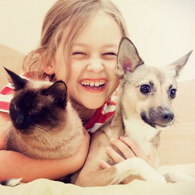 phone number for vip pet care