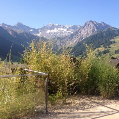 The Cambrian, Adelboden, a Member of Design Hotels by null