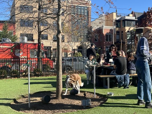 Dog Daze Social Club by null