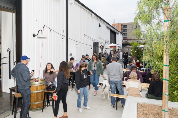 Lawless Brewing Co. by null