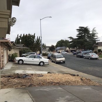 P & J Tree Services - Tree Services Near Me - Fairfield, California