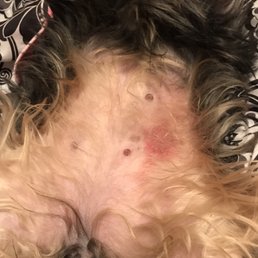 The bruise on her stomach