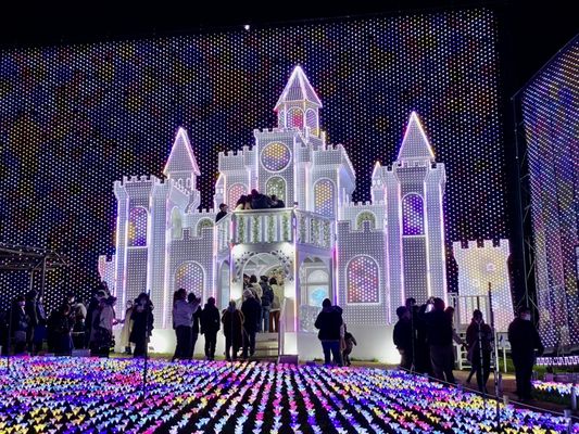 Ashikaga Flower Park by null