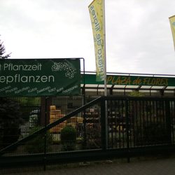 Plaza de Flores