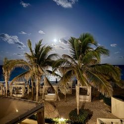 Live Aqua Resort - View from one of the cabanas facing the ocean
