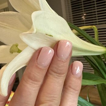 Anthony Vince Nail Spa - Perfect powder - Nail Salons Near Me - Ashburn, Virginia