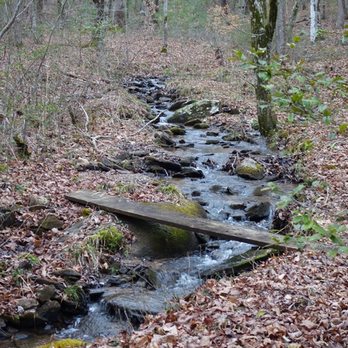 Georgia Mountain Cabin Rentals - Vacation Rentals Near Me - Blue Ridge, Georgia