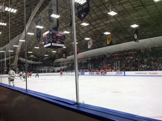 Ingalls Ice Rink by null