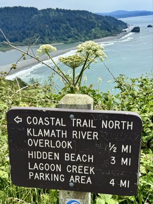 Klamath River Overlook by null