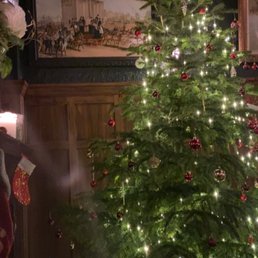 Beautiful Christmas decorations inside!