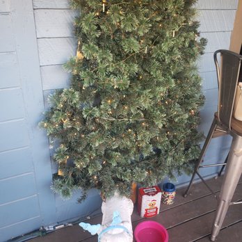 Duza's Kitchen - Canine patio - Breakfast & Brunch Near Me - Payson, Arizona
